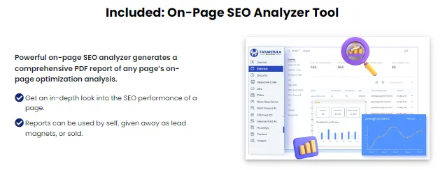 18058 testia tarantula molting