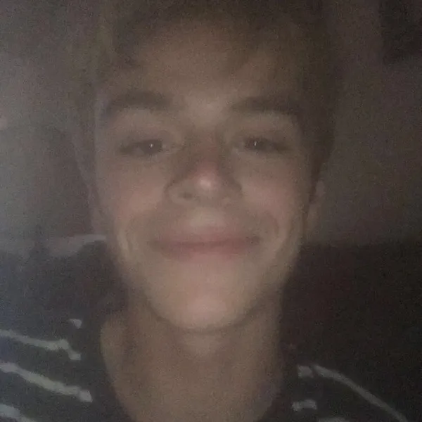 18069 pinktoe tarantula