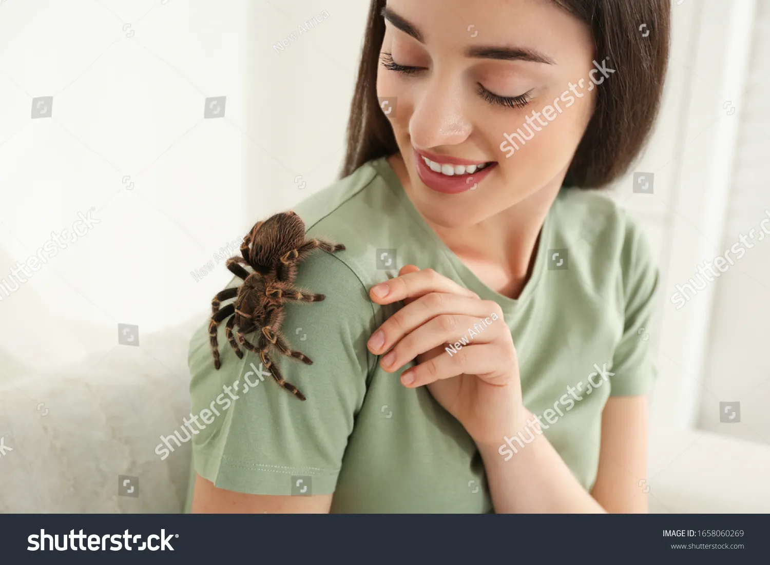 /img/18071-post-handling-tarantula-care.webp
