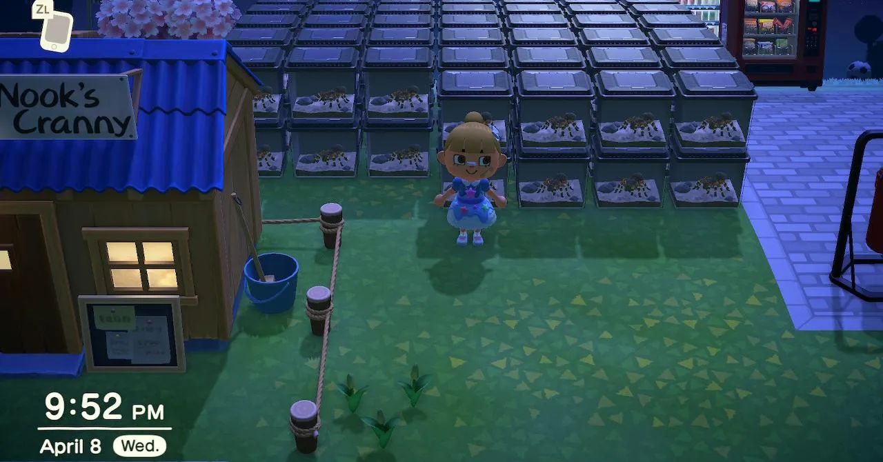 18075 animal crossing tarantula catching