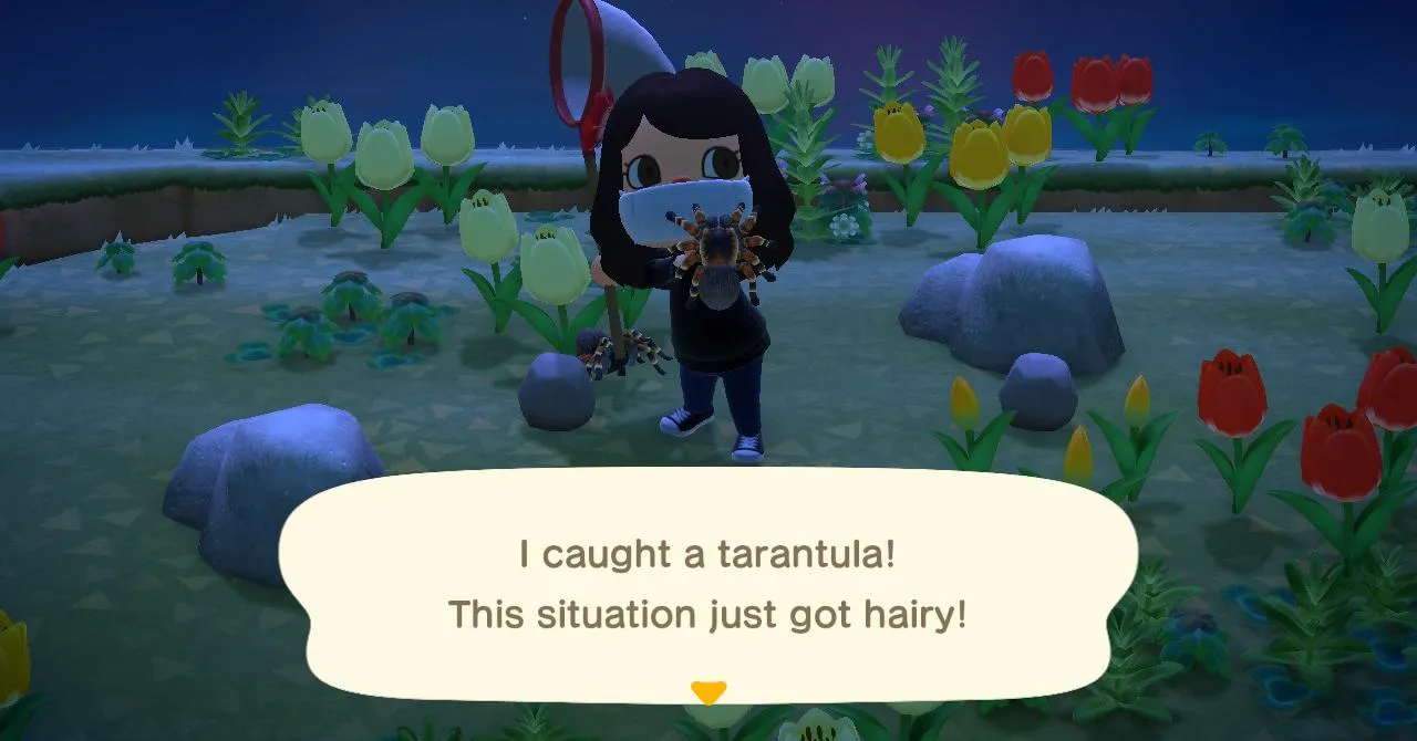 18075 animal crossing tarantula inventory