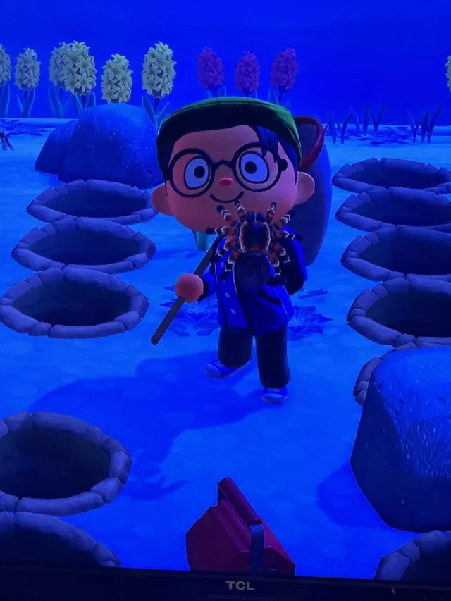 18078 acnh tarantula hunting overview