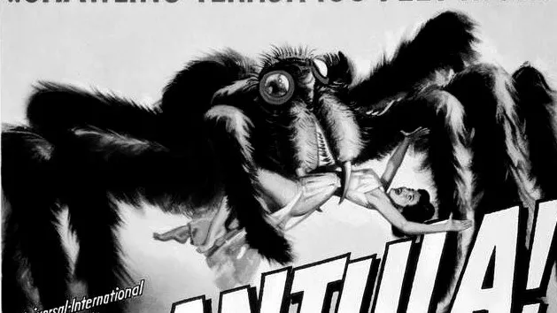 18097 tarantula molting