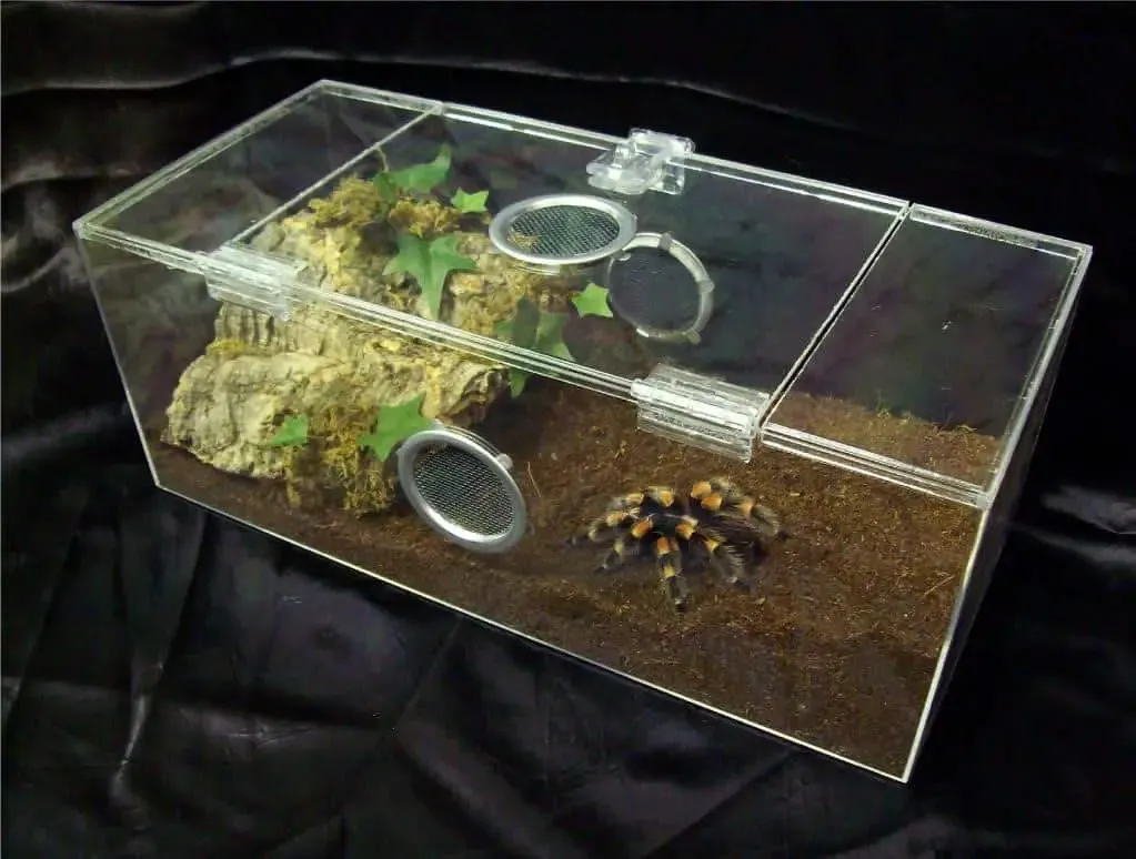 18100 medium tarantula enclosure